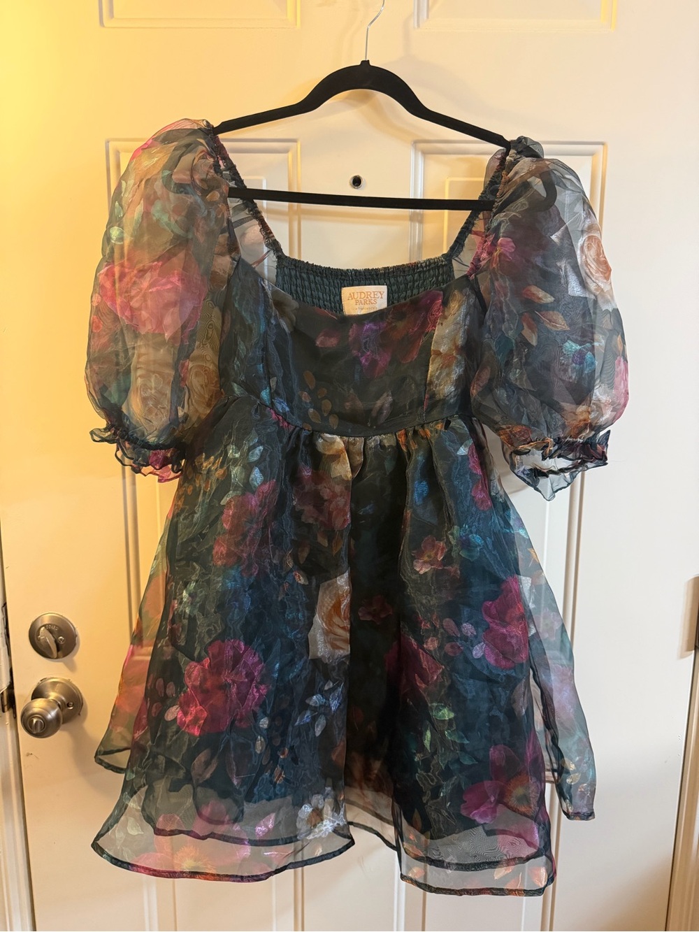 Audrey Parks Floral Organza Babydoll Mini Dress Puff Sleeve Women’s Small